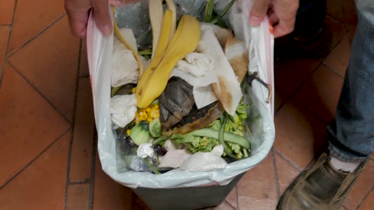 Best Yard Waste Removal  in East Atlantic Beach, NY